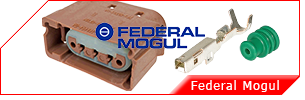 Federal Mogul