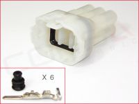 6-Way Plug Kit