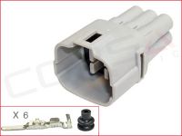 6-Way Plug Kit