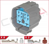 10-Way (8+2) Hybrid Kit