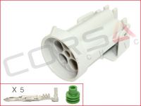 5-Way Plug Kit