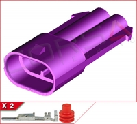 2-Way Kit
